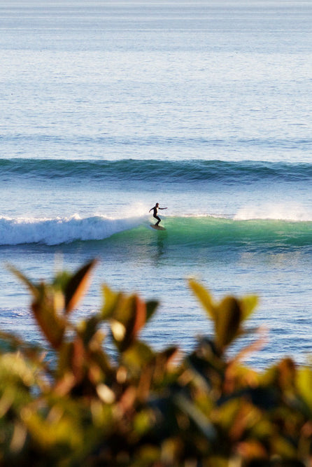 The Best Surf Products For Fall - Surfboards, Wetsuits and Gear