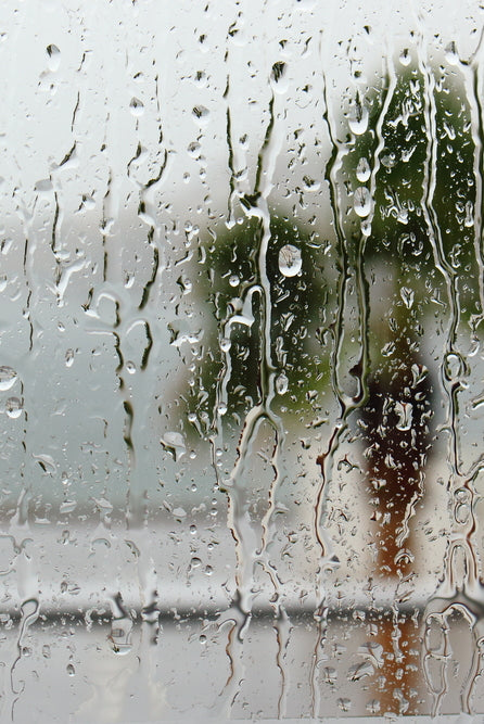Rainy Day Activities