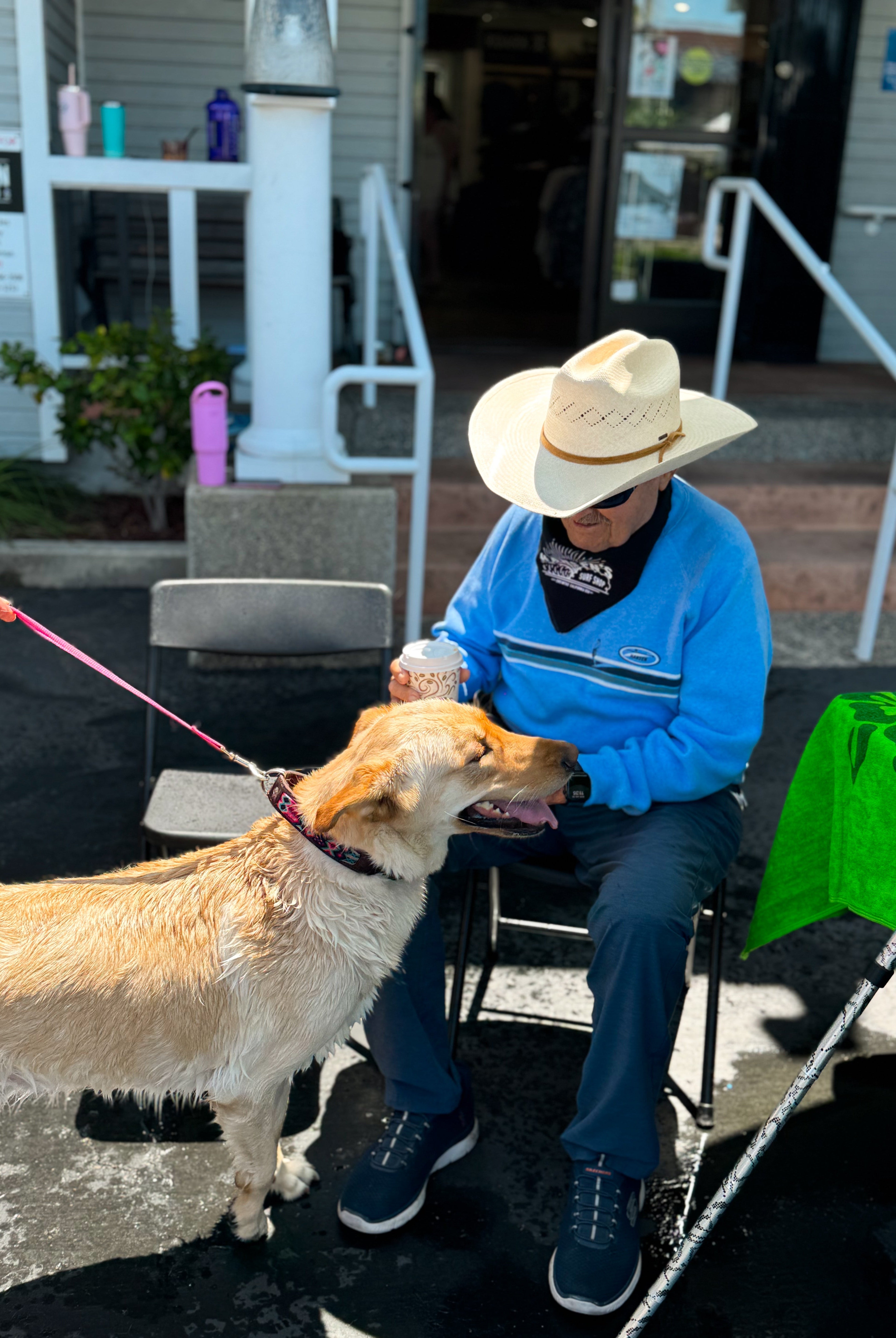 Dog Wash Fundraiser Recap!