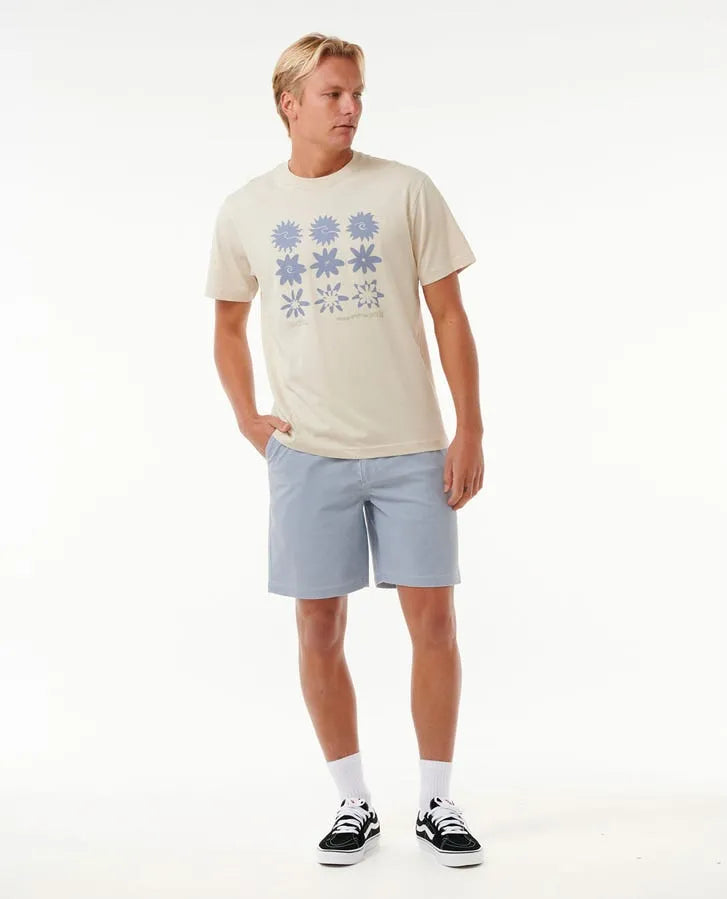 Rip Curl Mens Shorts Saltwater Culture 19