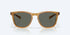 Costa Sunglasses Sullivan