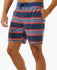 Rip Curl Mens Boardshorts Line Up 18