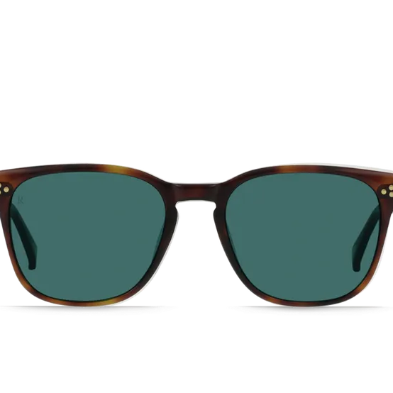 RAEN Sunglasses Alvez 54