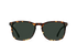 RAEN Optics Wiley 54