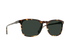 RAEN Optics Wiley 56