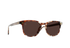 RAEN Sunglasses Alvez