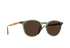 Raen Sunglasses Basq
