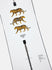 Burton Mens Snowboard Process Flying V