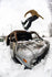 Lib Tech Mens Snowboard Skate Banana