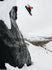 Burton Snowboard Blossom Camber