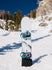 Burton Mens Snowboard Burton Family Tree Gril Master Camber