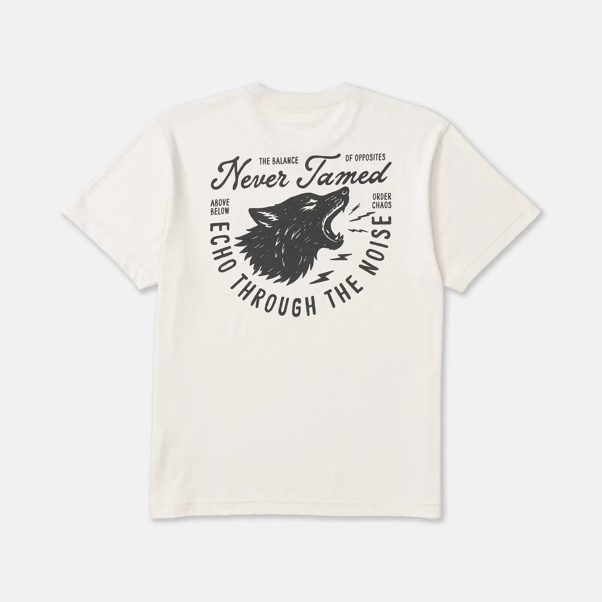 RVCA Mens Shirt Echo