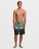 Billabong Mens Boardshorts All Day Stripe Pro Performance 20