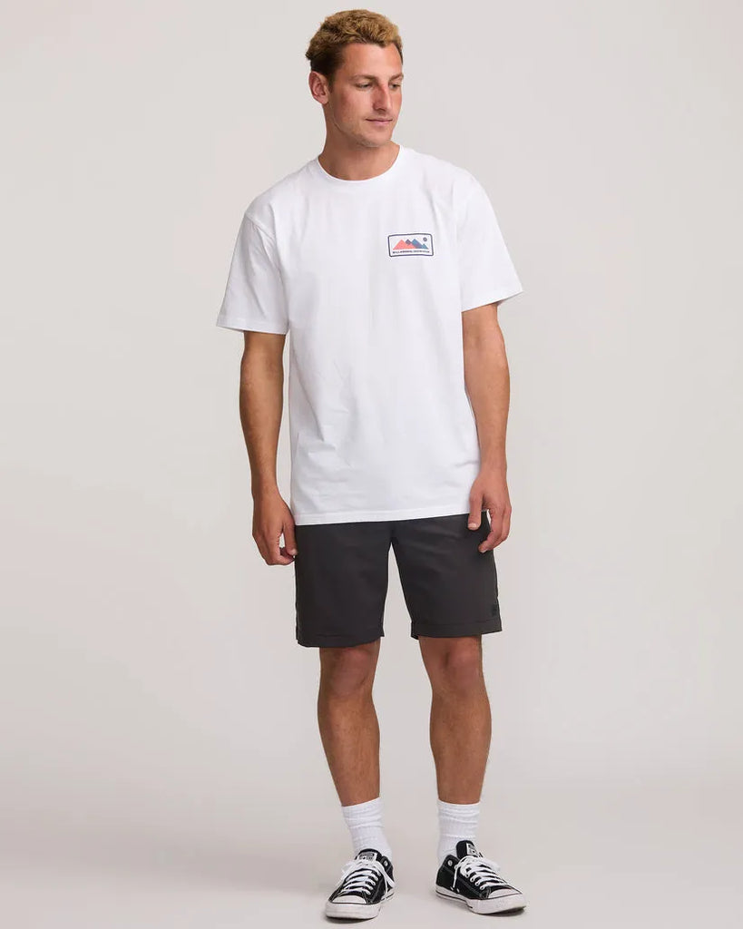 Billabong Mens Shorts Surftrek Journey 20