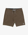 Billabong Mens Boardshorts Every Other Day Lo Tide 17.5