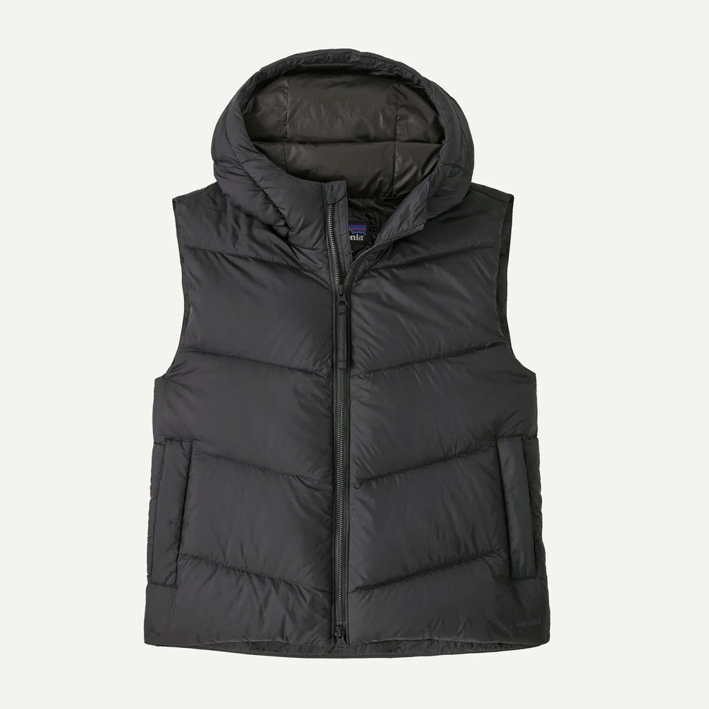 Patagonia Womens Jacket Sindit Vest