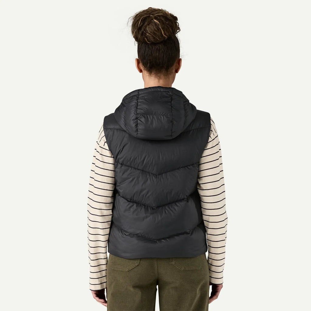 Patagonia Womens Jacket Sindit Vest