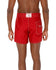 Birdwell Mens Boardshorts 310
