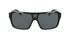 Dragon Sunglasses Remix
