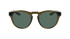 Dragon Sunglasses Opus LL Rob Machado Resin