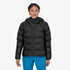 Patagonia Womens Jacket Fitz Roy Down Hoody