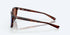 Costa Sunglasses Sullivan