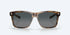 Costa Sunglasses Aransas