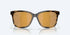 Costa Sunglasses May