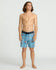 Volcom Mens Boardshorts Psyche Cotton Stoney 17
