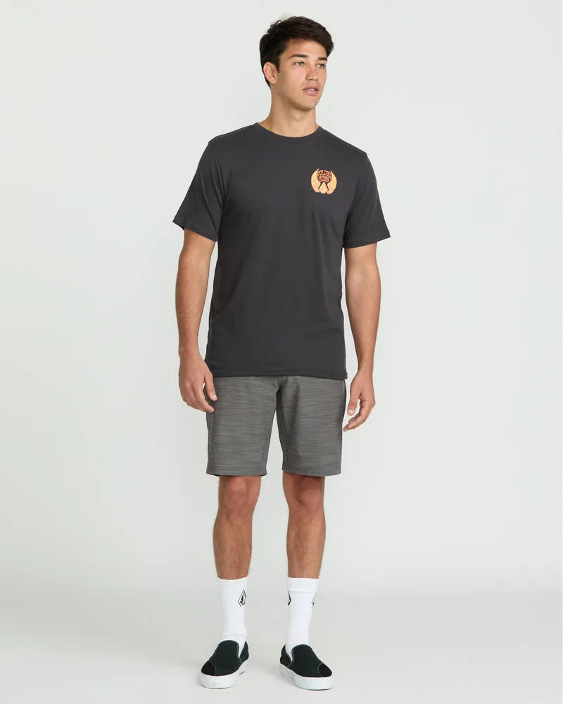 Volcom Mens Shorts Slub Frickin Cross Shred 20