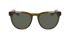 Dragon Sunglasses Kaj Rob Machado Resin