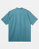 Quiksilver Waterman Mens Woven Centinela 4