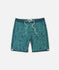Jetty Mens Boardshorts Atlantic