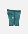 Jetty Mens Boardshorts Atlantic