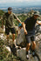 686 Mens Shorts Everywhere Hybrid Relaxed Fit
