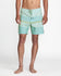 RVCA Mens Boardshorts Westport 17