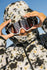 686 Mens Snow Jacket Hydra Thermagraph