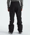 The North Face Mens Snow Pants Freedom
