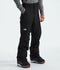 The North Face Mens Snow Pants Freedom
