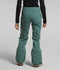 The North Face Womens Snow Pants Freedom Stretch