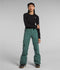 The North Face Womens Snow Pants Freedom Stretch