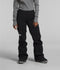 The North Face Womens Snow Pants Freedom Stretch