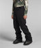 The North Face Mens Snow Pants Freedom Stretch