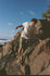 Rhythm Mens Shorts Relaxed Jam