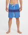 Quiksilver Mens Boardshorts Surfsilk Street 18