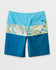 Quiksilver Mens Boardshorts Surfsilk Panel 20