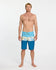 Quiksilver Mens Boardshorts Surfsilk Panel 20