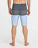 Quiksilver Mens Boardshorts Surfsilk Panel 20