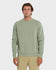 Quiksilver Mens Sweatshirt Saltwater Crewneck