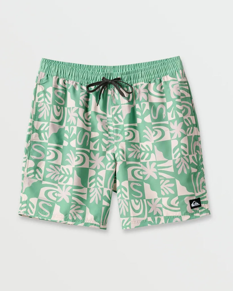 Quiksilver Mens Boardshorts Everyday Terra